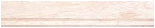 door_frame_timber_section